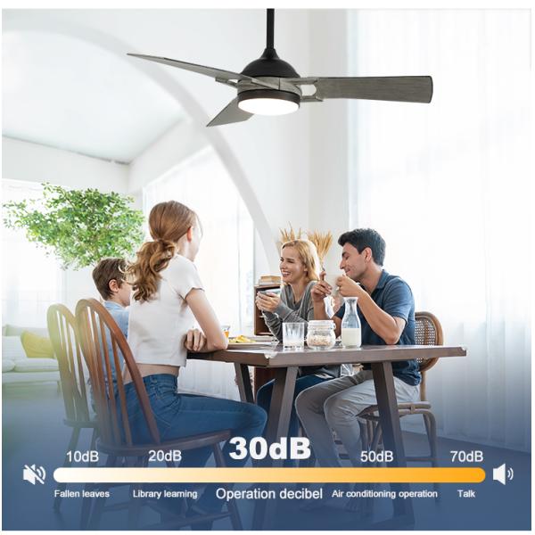 Transform Your Space with 1stshine LED Ceiling Fan Low Energy Consumption 6 Speeds 10