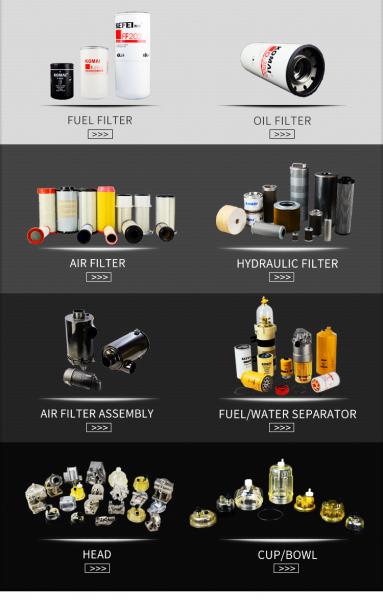 Heavy Equipment Fuel Filter Diesel Engine Parts KTA19 3315845 3315847