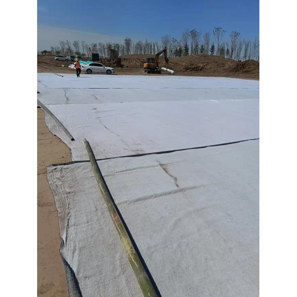 ISO14001 Certified Sodium-Based Bentonite Geosynthetic Clay Liner for Water Conservancy