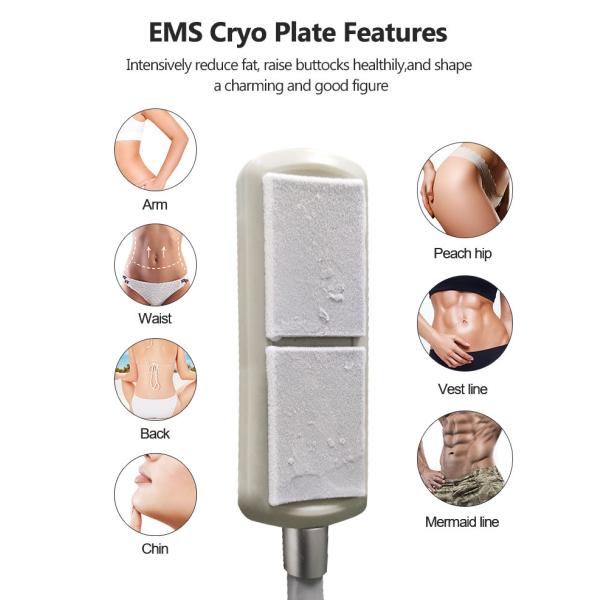 8 Plate 360 Cryolipolysis Cryo Fat Freezing Cryo Plate Weight Loss Machine