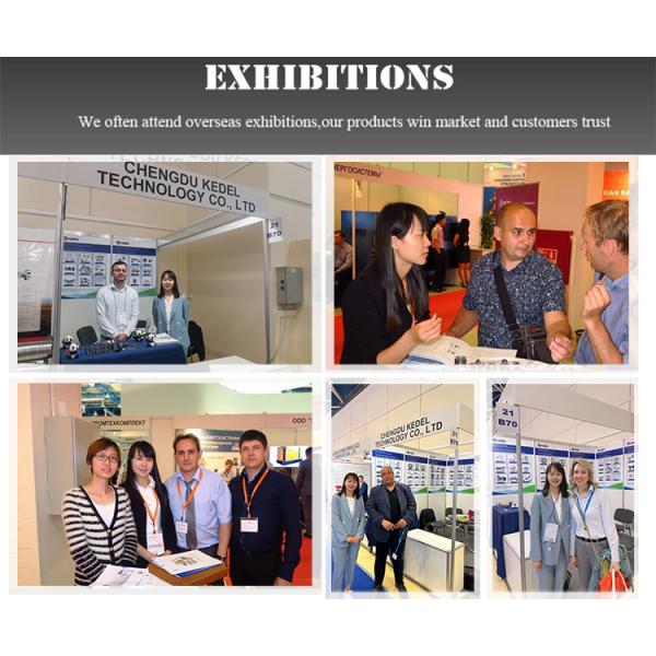 100% Carbide Powder Oval Slicing Knife Blade with Longer Cutting Life and Custom Size for Industrial Use