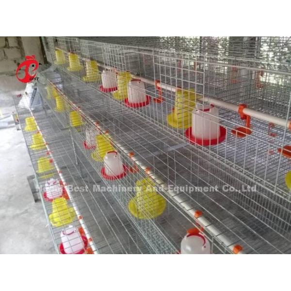 96 Birds A Type 1-12 Weeks Chick Brooder Cage In Chicken Farm Doris