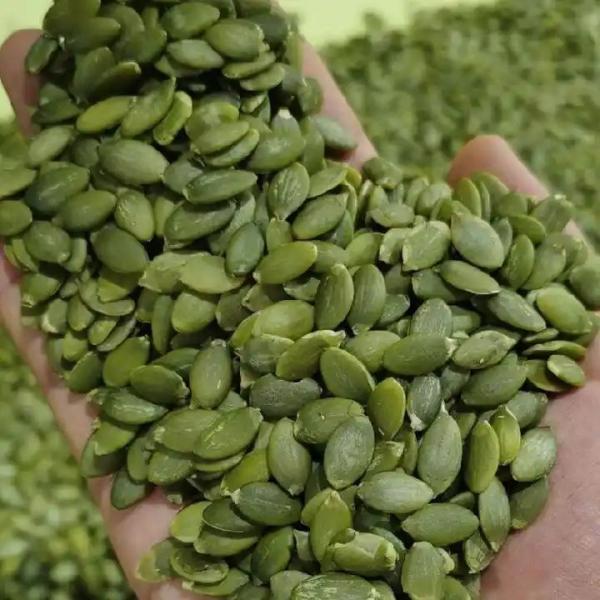 Factory Direct Sale Natural Organic High Quality Bulk Pumpkin Seeds Kernels Snacks