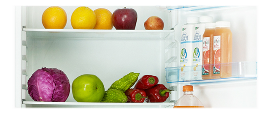 Mechanical temperature control BCD-251 DOUBLE DOOR REFRIGERATOR