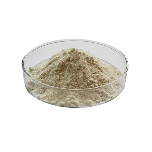 Buy Milk White Freeze Dried Royal Jelly Gelee Royale Powder ISO Approved at wholesale prices