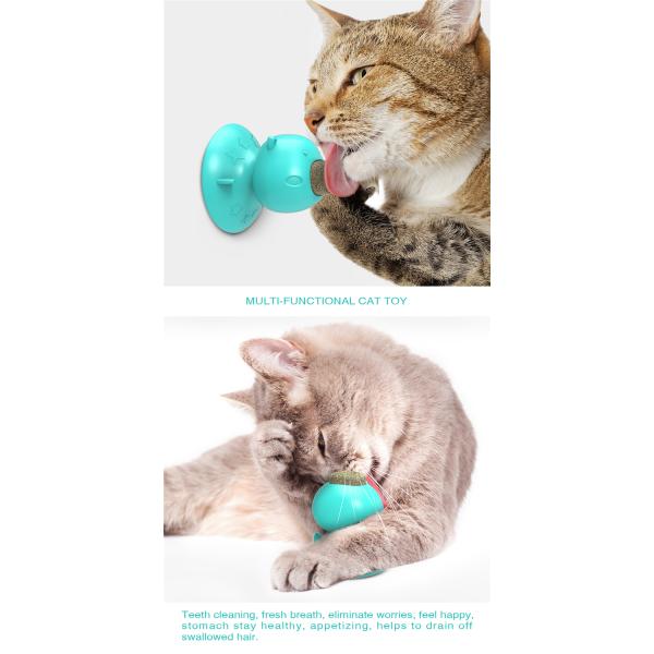 Hot Selling Custom Pet Chew Toys Cat Toys Teeth Cleaning Multifunction Catnip Toys
