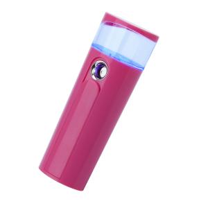 2 In 1 Handheld Skin Analyzer Humidifier Ionic Cool With Power Bank Function