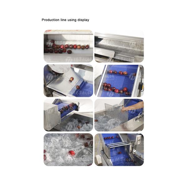 Multifunctional Vegetable And Fruit Processing Line Hair Roller Bubble Cleaning Production Line