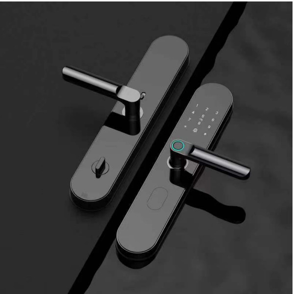 Wifi Network Smart Fingerprint Door Lock For Apartment