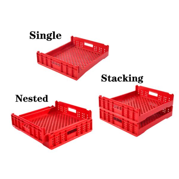 PP Bread Crate Plastic Storage 550*480*130mm Bakery Crates Logistics And Storage