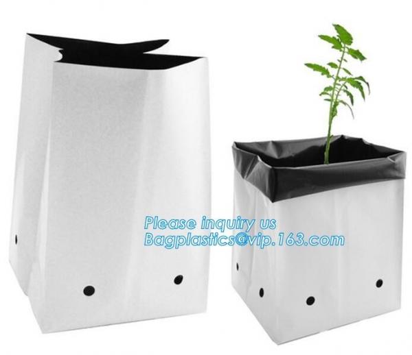Fast Growth plastic nursery air pruning pot for plant tree and flower,indoor nursery mini plastic flower pot, gardening