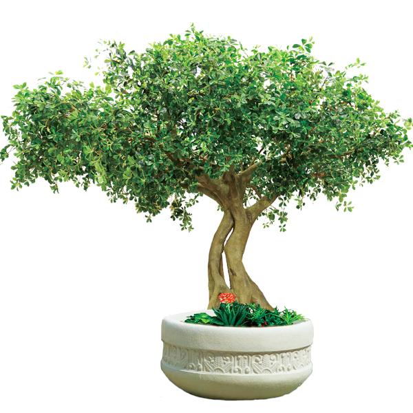 3m Height Artificial Landscape Trees Pittosporum Ficus Tree for office