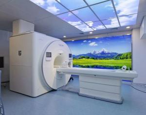 Quality UMR 890 Mri Shielding Design Shielding Solution Rf Shielding Material For Mri 0.8X2.1M Door for sale