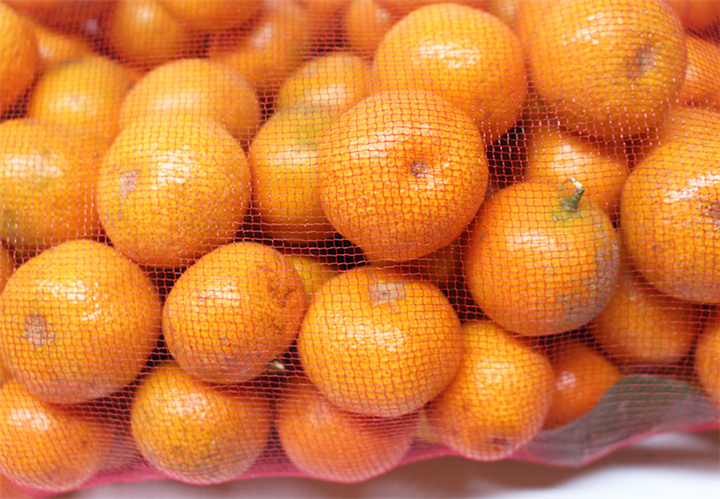 53*94cm Non Woven Mesh Net Bag for Mango Fruit Protection in Industrial Agriculture