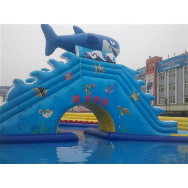 Giant Inflatable Water Slide, Water Slide For Water Park