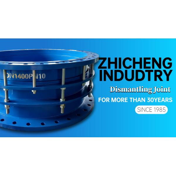 Dn1400 Connection Carbon Steel Flexible Limit Flange Dismantling Joint