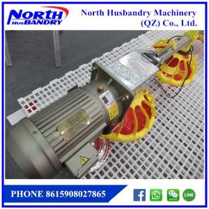 Quality poultry feed line for Automatic poultry broiler feed for sale