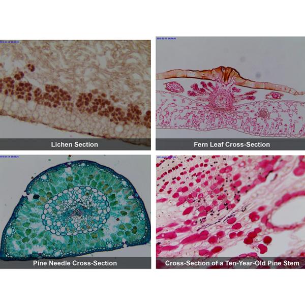 OPTO EDU A59.2208-E Usb 2.0 Cmos Digital Microscope Camera 1.3m~14m