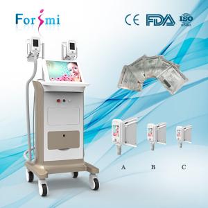 China body fat freezing machine cryolipolysis 4 handles more optional for fat reduction clinic on sale