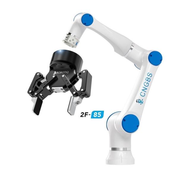 Buy 6 Axis CNGBS 3kg Payload Cobot Picking And Placing Robot Arm With Robotic Robot Gripper at wholesale prices