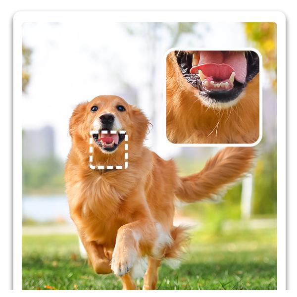 Compact and Portable Mini Camera X2 For Adults And Children Quick time AVI photo format JPG Ideal Thanksgiving Day Gift