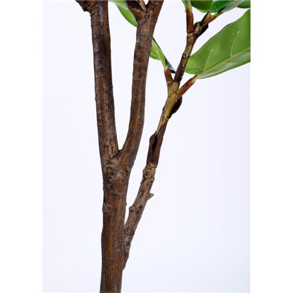 Plastic 6 Foot Faux Ficus Tree Unprecedented Authenticity Detailed Public Area Applied