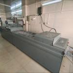 Donkey Hide Gelatin Vacuum Packaging Production Line Thermoforming Vacuum