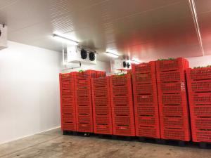 China Vegetable Fruit Cold Storage Room 0~10°C Industrial Refrigeration System on sale