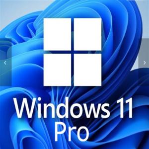 Quality Windows 11 Professional 1 User Key For Small Businesses Enhanced for sale