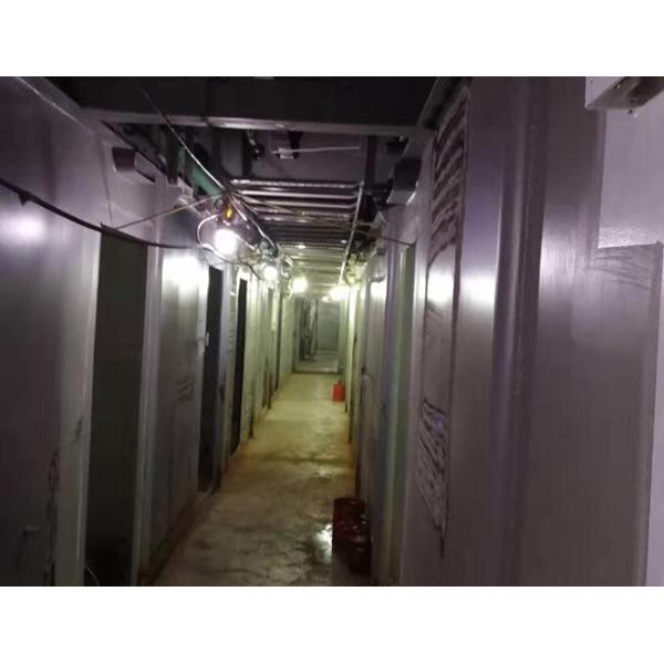 Offshore Maritime Explosion Proof LED Lights IP67 12W 1200Lm Led Explosion Proof Lamp