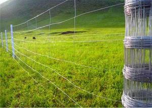 China Animal Rural Farm Hot Dipped Galvanized Steel Wire Mesh Hinge Joint Fence on sale
