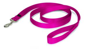 Strong and Durable Traditional Style Nylon Dog Leash with Easy to Use Collar Hook, Available in Multiple Widths