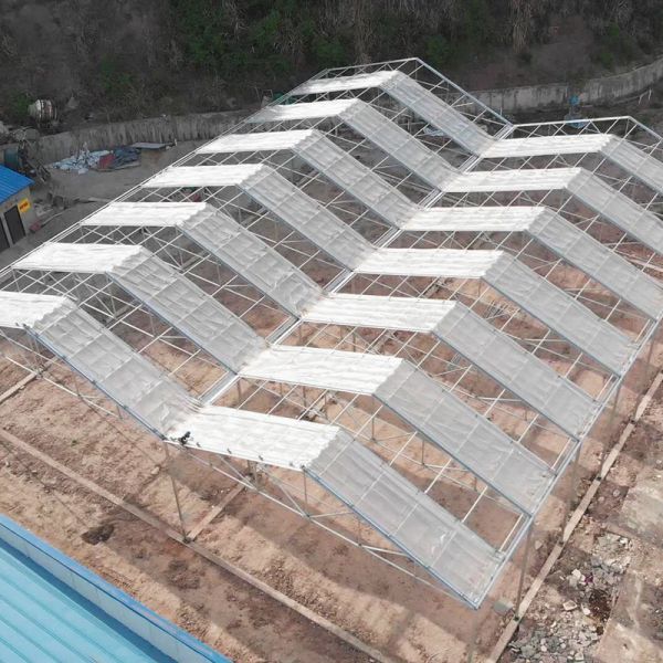 Hot Galvanized Steel Structure Tomato Plastic Film Retractable Roof Agricultural Poly Tunnel Greenhouse