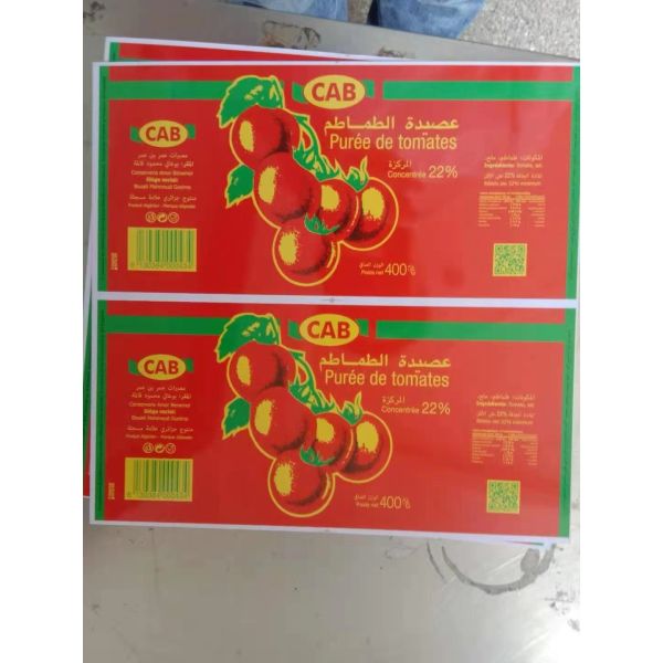 Tinplates Sheet For Corrosion Resistance And Aesthetic Appearance In Food Packaging