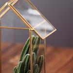 House Shaped Geometric Succulent Terrarium , Jewelry Holder Air Plant Container