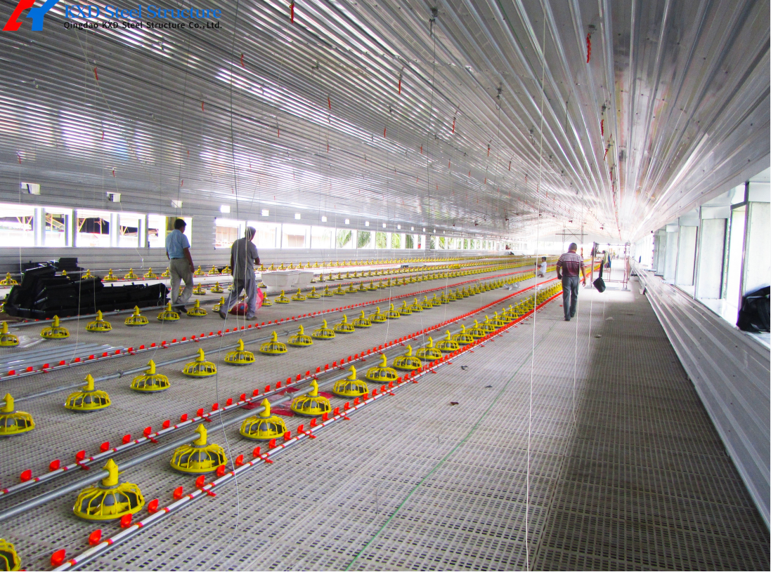 OEM ODM Broiler Poultry Equipment Customized Broiler Pan Feeder