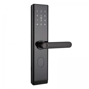 China WiFi TTLOCK Smart Door Lock Biometric Fingerprint Door Handle Digital Keyless Lock on sale