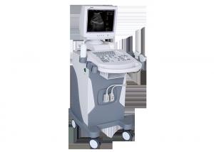 Quality 14 Inch Screen B - Type Trolley Ultrasound Scanner Black White For Pregnancy for sale