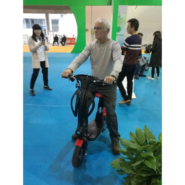 On sale 25km/H Motorized Public Street Road Electric Scooter Rear Disk Brake