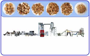 Quality SS Nuts Processing Machine Computer Control For Walnut Shelling Sorting for sale