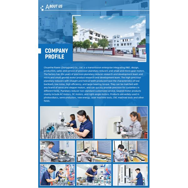 Customize Spur Gear Nema 52 19Mm 22Mm 1 Stage 7:1 Precision Planetary Gearbox Chuanhe