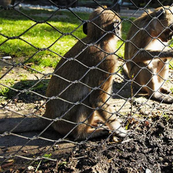 1*19 Or 7x19 Mesh Constructure Flexible Stainless Steel Zoo Fence Mesh For Safety