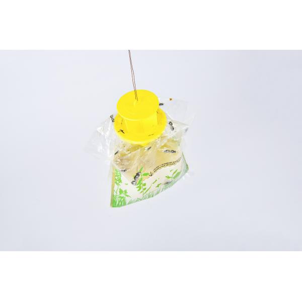 Square Eco Material Mini Fruit Fly Trap Bottle Target Lure Plastic Feature for Indoor
