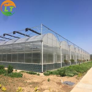 Quality Multi-Span Film Agricultural Greenhouse Gutter Height 3-6m Automatic Controlling System for sale