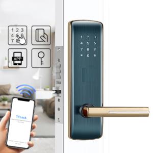 Quality Alkaline Battery Apartment Smart Door Lock 72mm Keyless Entry Door Lock for sale