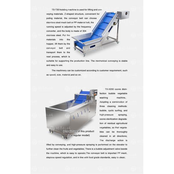 Multifunctional Vegetable And Fruit Processing Line Hair Roller Bubble Cleaning Production Line