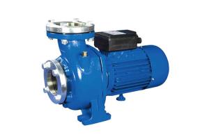 Quality High Flow Rates Centrifugal Water Pump 1 HP 0.75 KW For Agriculture / Swimming Pool for sale
