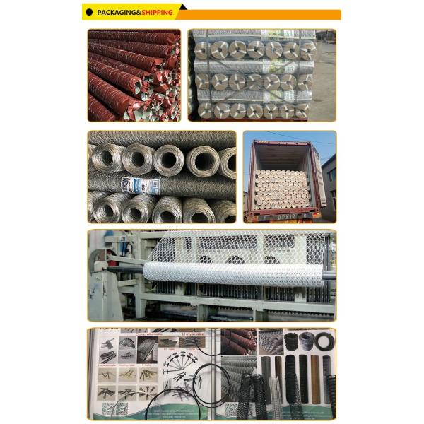 Chicken Protecting Galvanized Hexagonal Wire Mesh Durable Construction