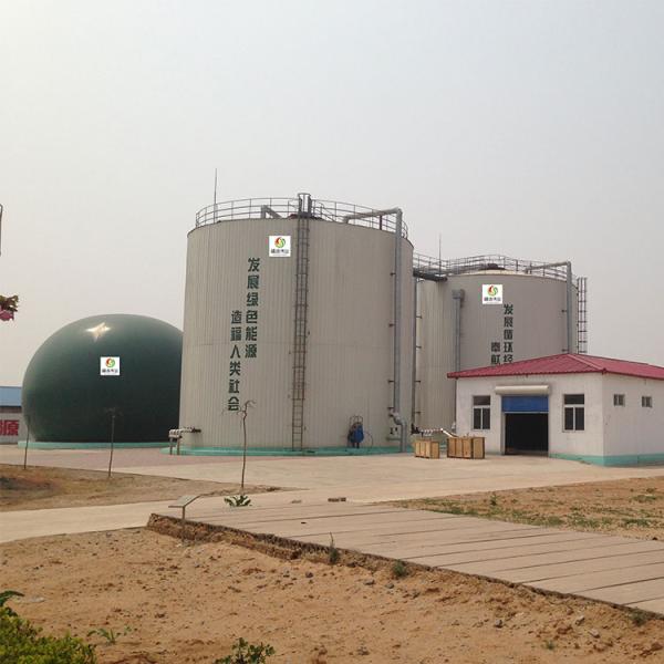 N2O Gobar Gas Balloon Biogas Plant Project Anaerobic Digestion Tank