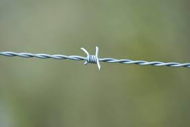 Anti-climbing Hot Dipped Galvanized Barbed Wire for Zimbabwe Farm Length Per Roll